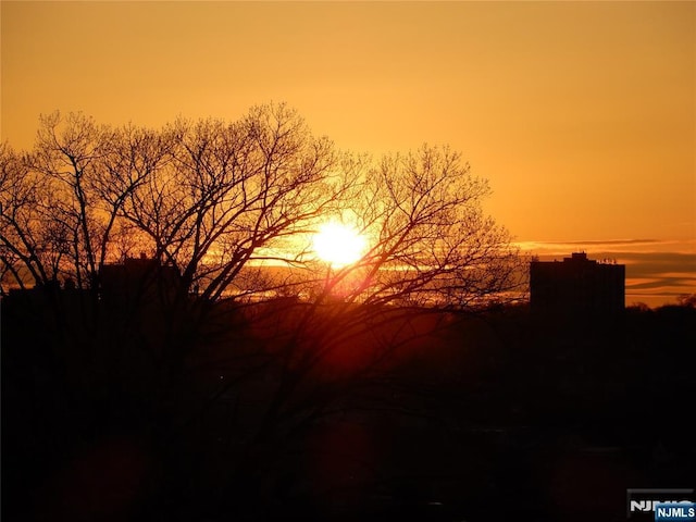 view of nature at dusk