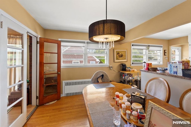 dining room with radiator heating unit and wood finished floors