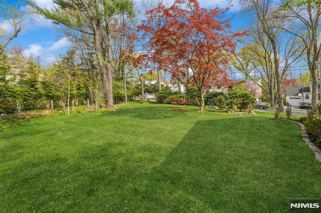 view of yard