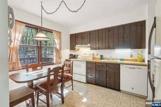 kitchen with dark brown cabinets, a sink, white appliances, light countertops, and under cabinet range hood