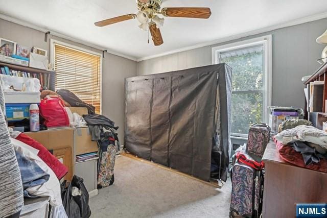 miscellaneous room featuring crown molding, carpet floors, and a ceiling fan