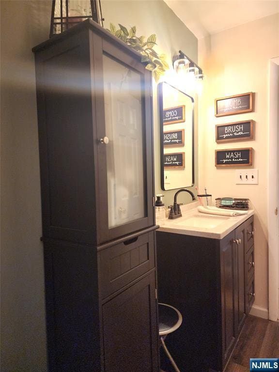bathroom featuring wood finished floors and vanity