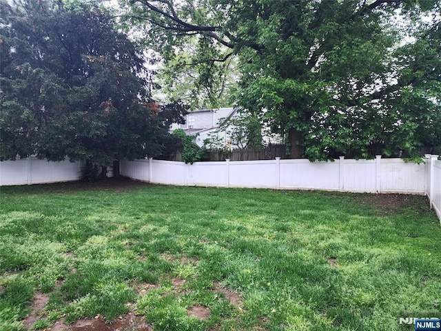 view of yard