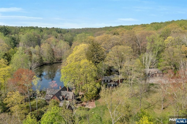 birds eye view of property with a view of trees and a water view