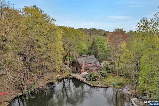 birds eye view of property featuring a water view and a forest view