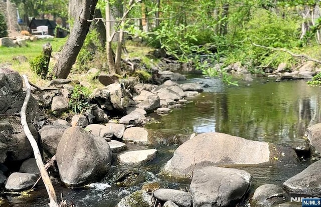 view of nature