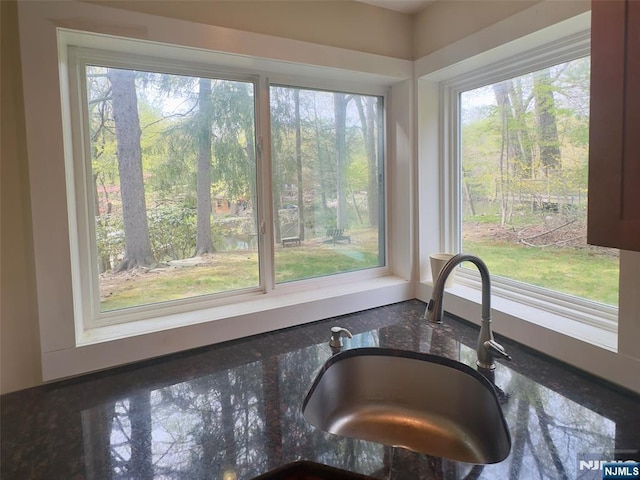 room details with a sink