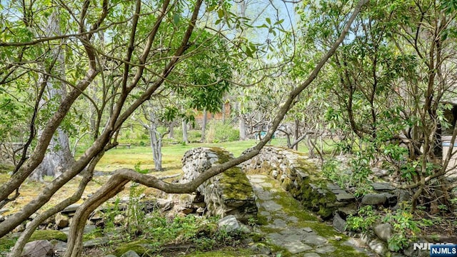 view of nature