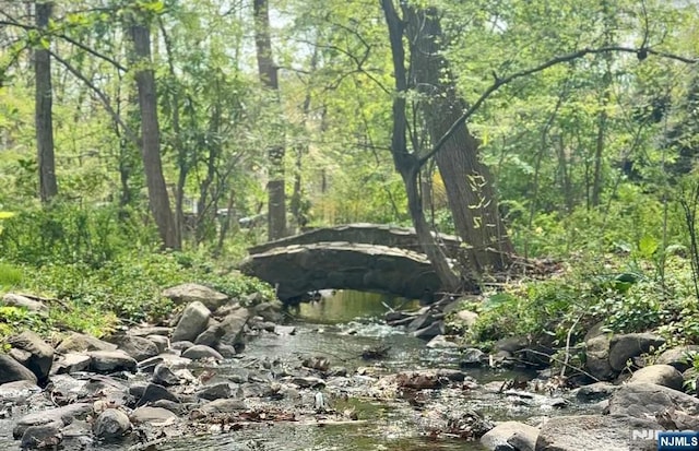 view of local wilderness featuring a wooded view
