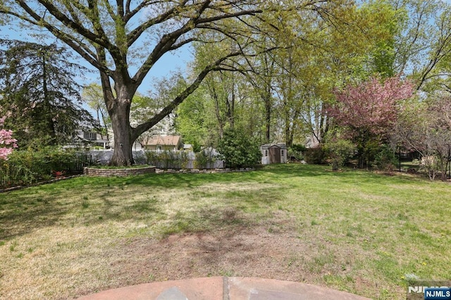 view of yard with an outdoor structure, a shed, and a fenced backyard