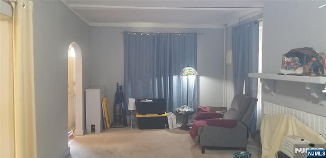 living area featuring arched walkways and carpet flooring