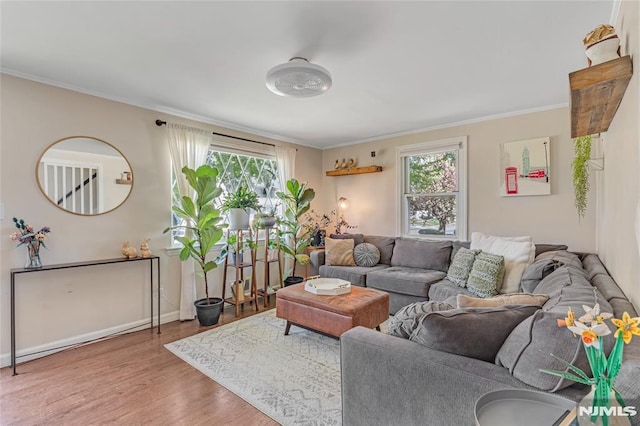 living room with crown molding, plenty of natural light, and wood finished floors
