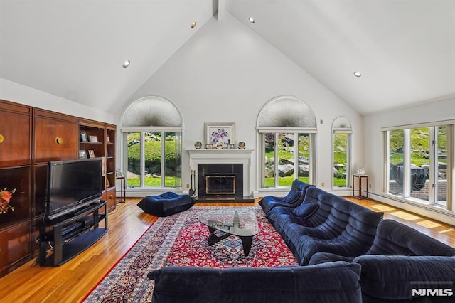 living room with a healthy amount of sunlight, high vaulted ceiling, light wood-style floors, and a glass covered fireplace