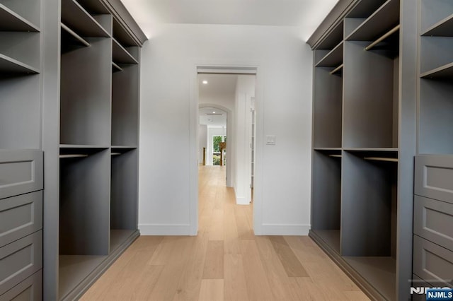 229 Bogert Pl, Paramus, NJ 07652 - spacious closet with light wood-type flooring