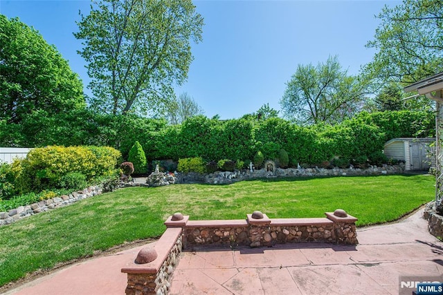 view of yard featuring a patio, an outbuilding, and a storage shed