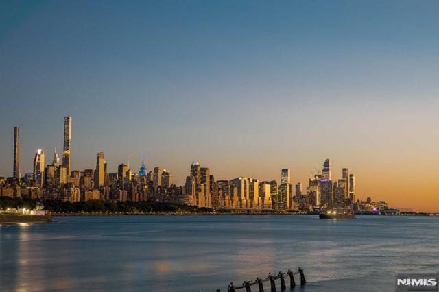 property view of water featuring a city view