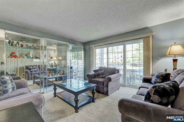 living area with carpet flooring and a textured ceiling