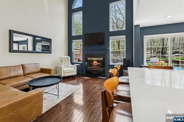 living room with a glass covered fireplace and hardwood / wood-style floors