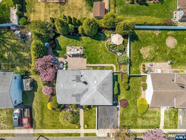 bird's eye view