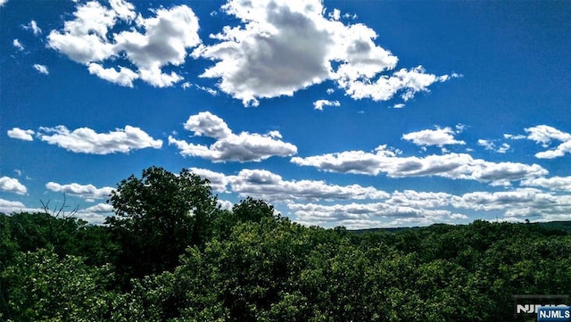 view of landscape featuring a view of trees