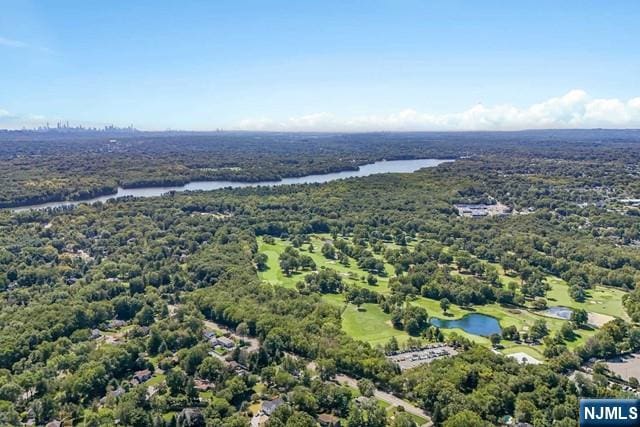 bird's eye view featuring a water view and a wooded view
