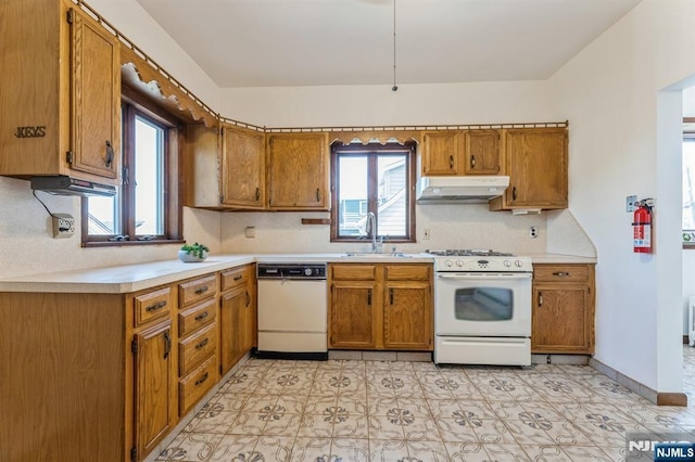 kitchen with a sink, brown cabinets, under cabinet range hood, and white appliances