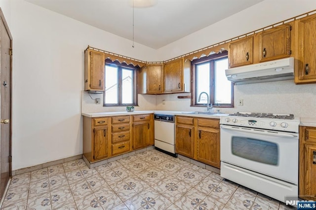 kitchen with white appliances, brown cabinets, under cabinet range hood, and a sink