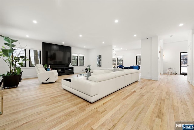living area with baseboards, recessed lighting, and wood finished floors