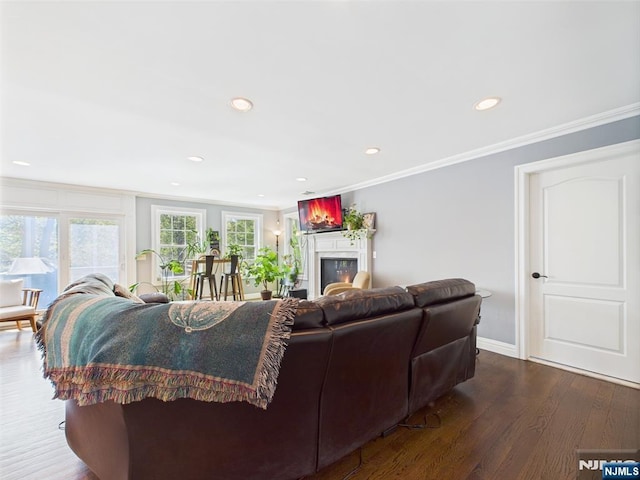 living area featuring crown molding, a glass covered fireplace, wood finished floors, baseboards, and recessed lighting