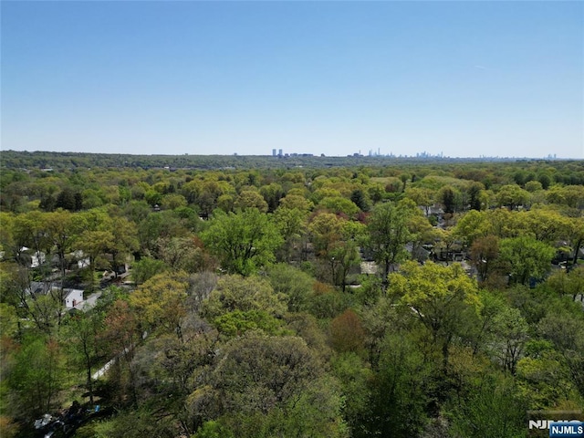 birds eye view of property featuring a forest view
