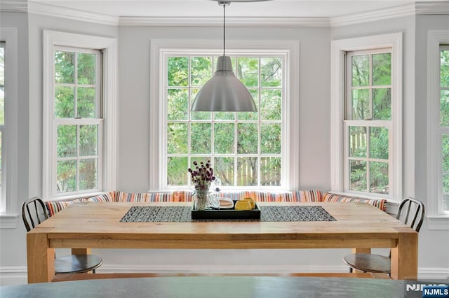 dining room featuring crown molding, a healthy amount of sunlight, and breakfast area