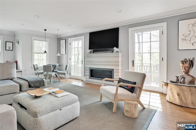 living area with crown molding, light wood finished floors, and a glass covered fireplace