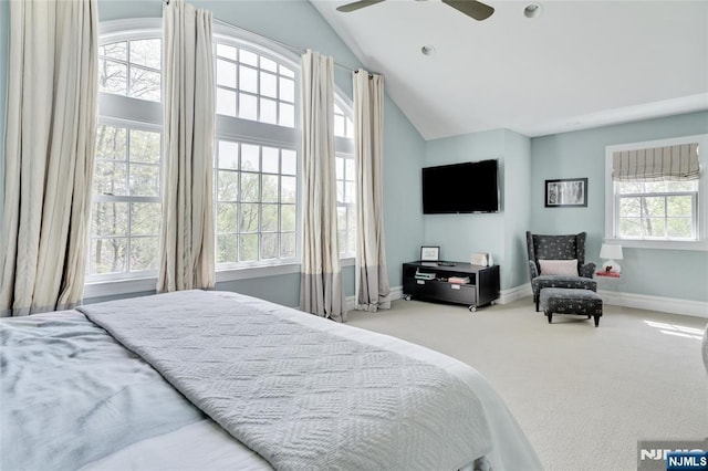 bedroom featuring carpet floors, a ceiling fan, baseboards, and lofted ceiling