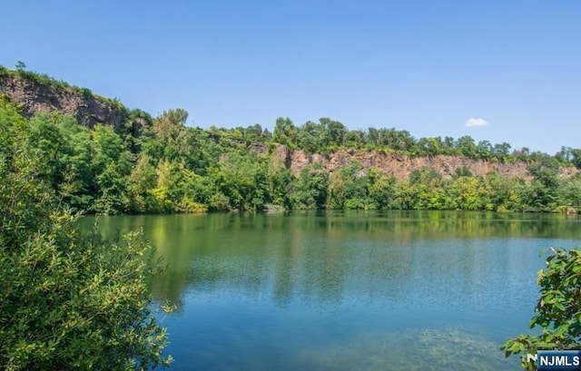 view of water feature featuring a wooded view