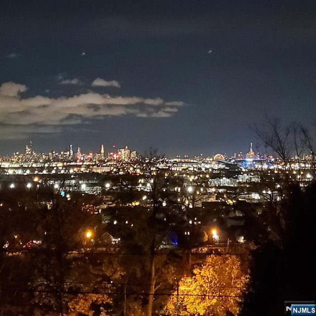 516 5th St, Carlstadt, NJ 07072 - view of city
