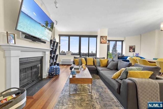 living area with a fireplace with flush hearth, plenty of natural light, and wood finished floors