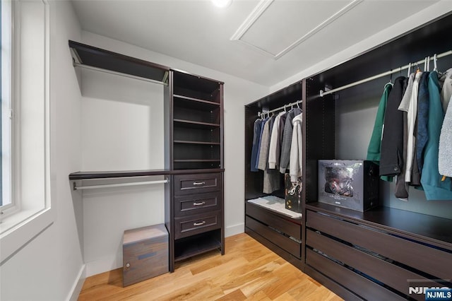 walk in closet with attic access and light wood-type flooring