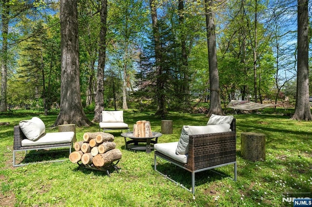 view of yard