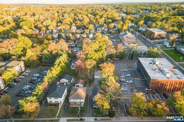 bird's eye view