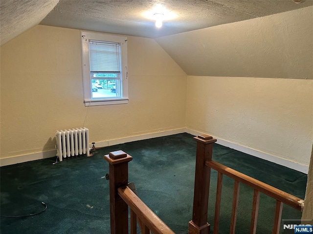 28 Hutchinson Ave, Hawthorne, NJ 07506 - additional living space featuring radiator heating unit, a textured ceiling, carpet floors, vaulted ceiling, and a textured wall