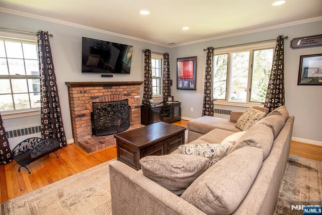 living area featuring baseboards, radiator, ornamental molding, and a fireplace