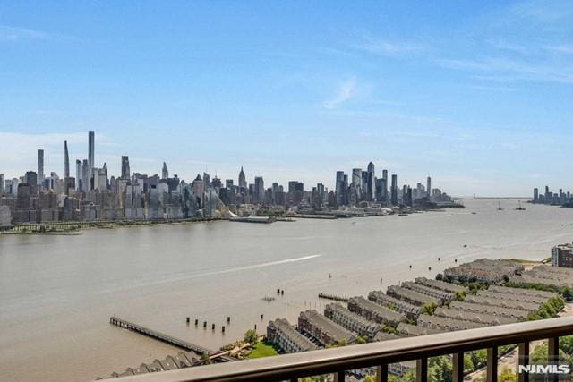 water view featuring a city view