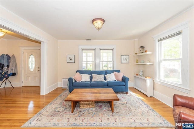 living area featuring baseboards, a healthy amount of sunlight, and light wood-style flooring