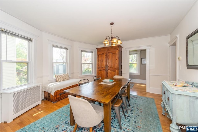 dining area featuring light wood-style flooring, a chandelier, a healthy amount of sunlight, and radiator