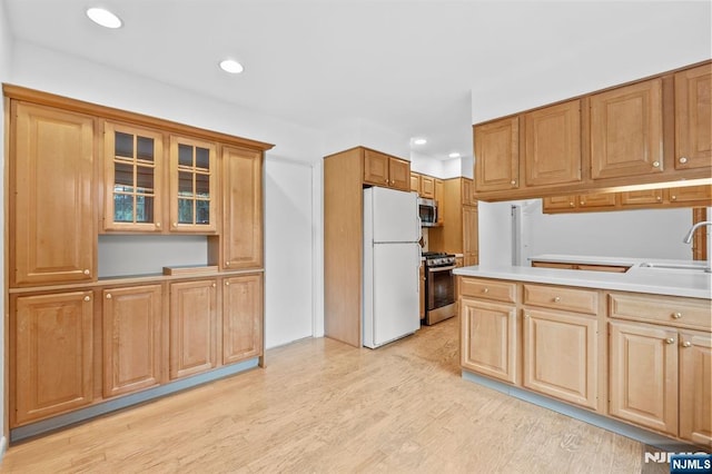 kitchen featuring recessed lighting, a sink, light wood finished floors, and appliances with stainless steel finishes