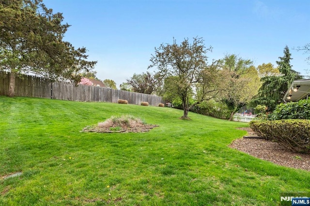 view of yard with a fenced backyard