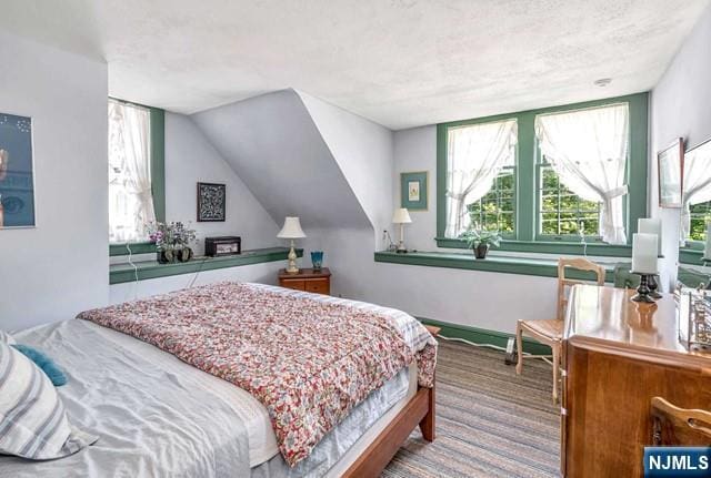 2 Wierimus Ln, Hillsdale, NJ 07642 - bedroom featuring a textured ceiling, multiple windows, and carpet