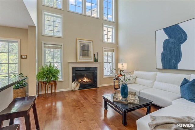 living room featuring a high end fireplace, baseboards, wood finished floors, and a towering ceiling