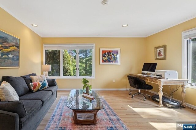 office space featuring a healthy amount of sunlight, baseboards, crown molding, and wood finished floors