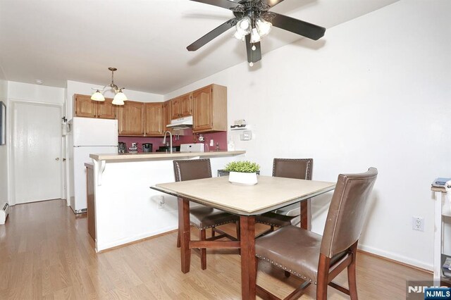 dining room featuring light wood finished floors and ceiling fan